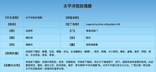 ▲“广西海洋药用资源名录”网站上标注了宁靖洋斑纹海豚的药用价值。