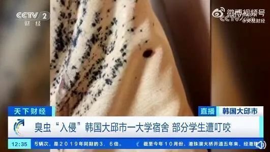 南宁一小区2.3元一级物业费，门禁坏一个月没人修？