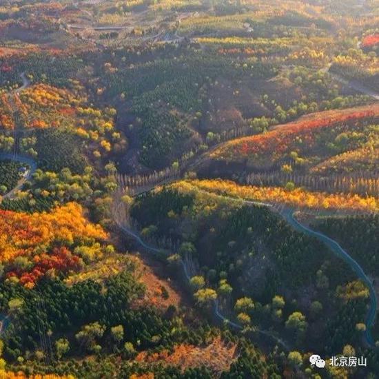 北京首个丘陵森林公园免费开放14万亩丛林彩妆正浓