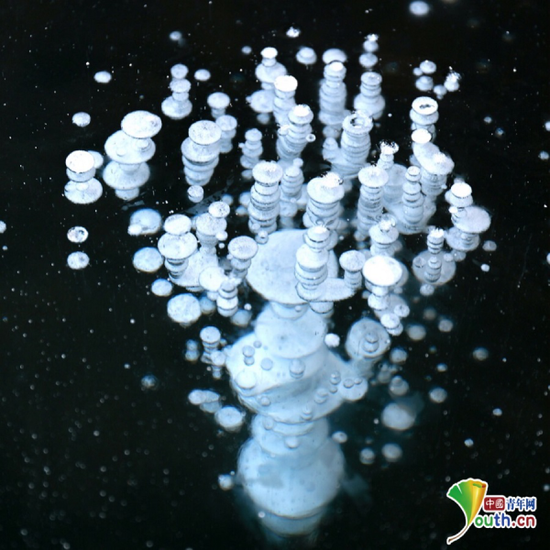 观音山景区莲花湖的“冰泡”形似“珊瑚”美轮美奂。王景阳 摄