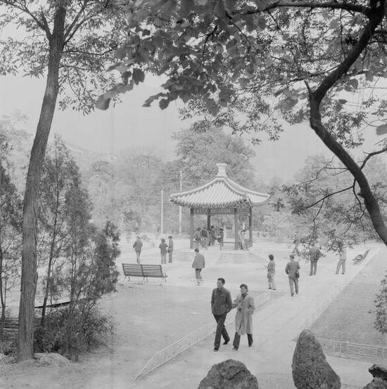 香山观叶可追溯至金代 杨朔这篇文章让它声名鹊起 上世纪70年代末,游客到香山观赏红叶。李士炘摄