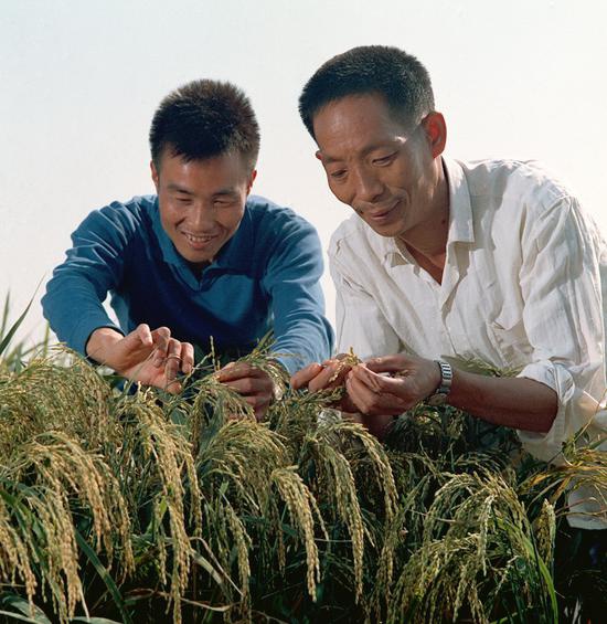 袁隆平的遗愿