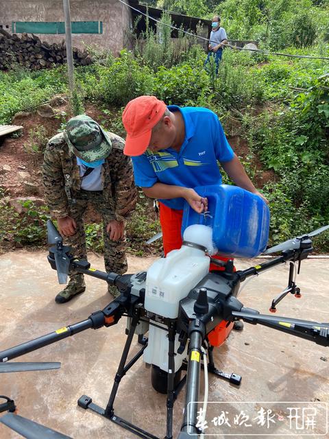 蝗虫大军入境波及云南3州5县 未来几日或扩散蔓