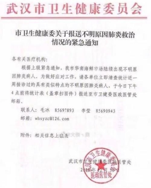 图5 2019年12月30日首在网上流传的武汉卫健委红头文件。
