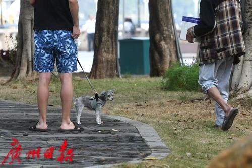 资料图 广州日报全媒体记者邱伟荣摄
