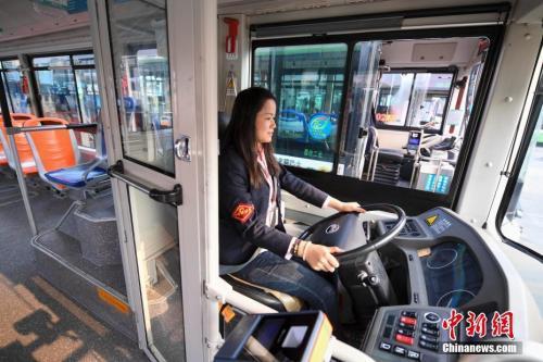 资料图：11月5日，湖南长沙123路的公交女司机在透明的驾驶隔离区驾驶汽车。中新社记者 杨华峰 摄