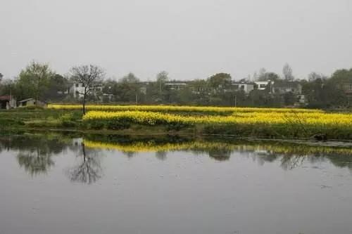 鲜为人知的故事 怀宁县查湾村