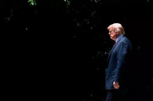 2020年 世界会蹿出“黑天鹅”“灰犀牛”吗?