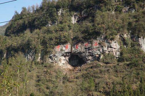 图5. 重庆中益乡将中蜂养殖和蜂蜜加工列为重点产业