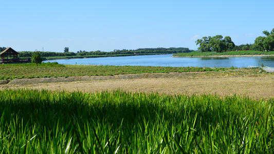 今天起通州大运河森林公园预约入园 部分出入口