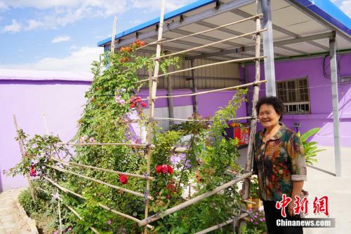 吴秀芳的小花圃,她说早起浇浇花心情好.刘湃 摄