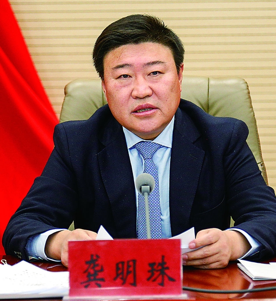  龚明珠代表（内蒙古自治区发展和改革委员会党组书记、主任）