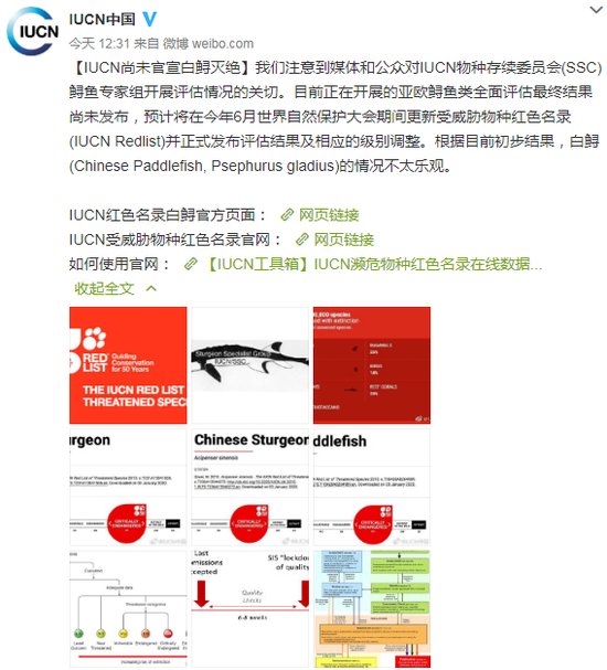 世界自然保护联盟 IUCN官方微博1月3日12:31发布消息称,IUCN尚未官宣白鲟灭绝。