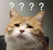 吹捧导师和师娘的“神论文”上核心期刊 网友炸