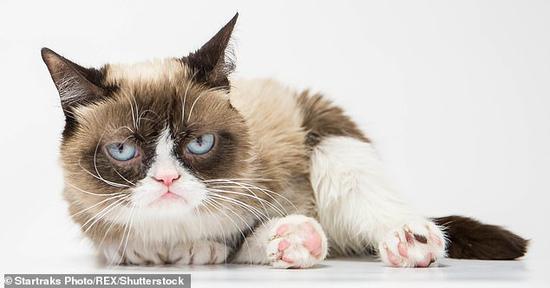  塔达尔·沙司（每日邮报）