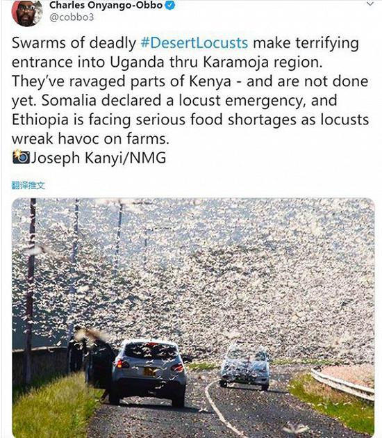 吃掉几亿人粮食蝗灾咋来的?印巴都坐下来好好说