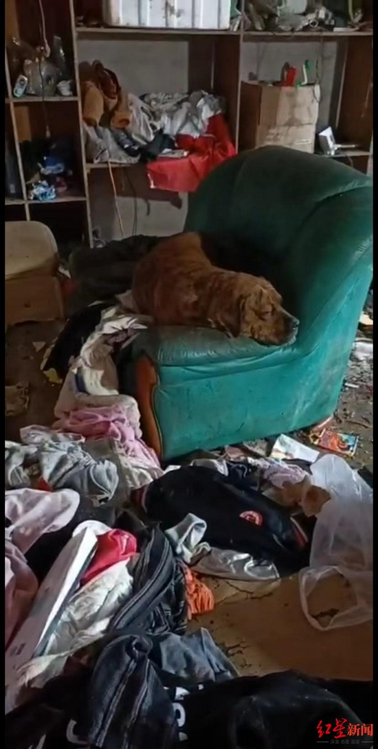 网传湖南一女婴住垃圾堆脸上苍蝇乱飞县妇联尊重其抚养权