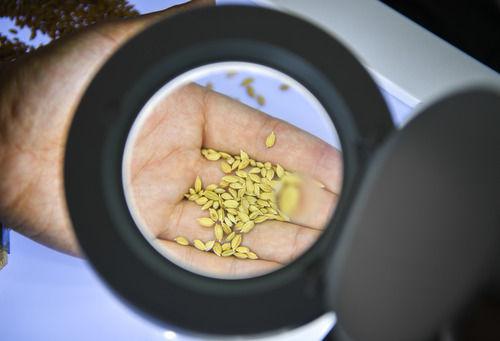 �ڼ���ʡ������������һ��Ϫ����·��ͥũ����������Ա��ʵ�����м��һ������ˮ���ĵ�����ۣ�8��12���㣩���»������ ���� ��