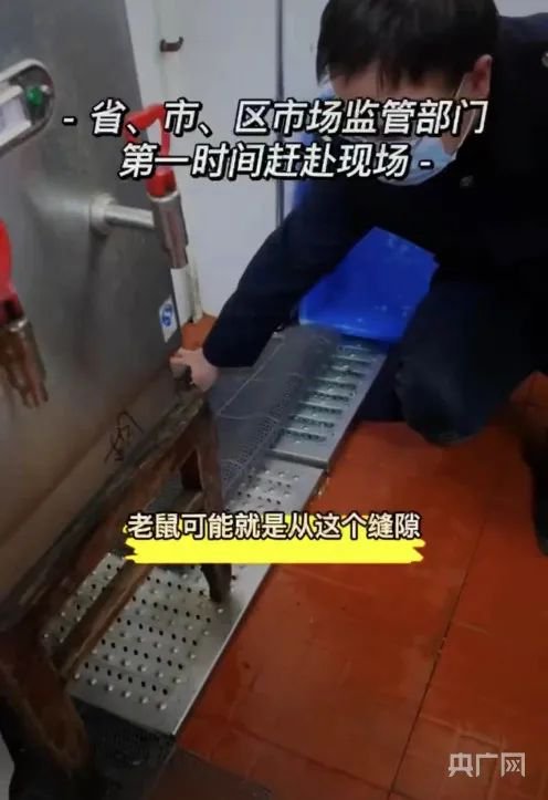 白沙镇：假期首日文旅火热 藿溪泛舟古韵留香