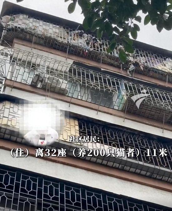 广东一居民因反对加装电梯养200多只猫报复邻居，邻居：这人从不清理粪便，垃圾铺满楼道，墙上狂写侮辱性文字，还往地上扔纸钱