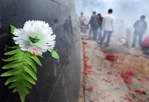 ·2009年5月12日，汶川地震周年祭，一位学生家长将一枝花朵镶插在遇难学生的墓墙上。（图片来源：新华社）