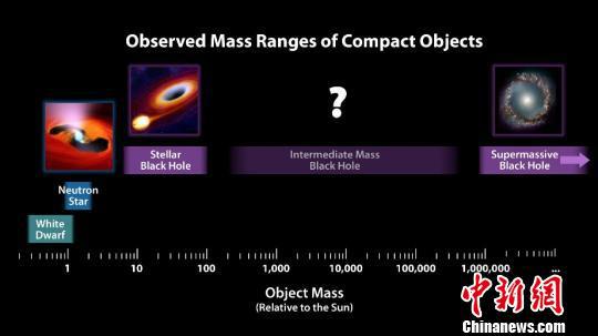 致密天体根据质量的分类。（图片来源：NASA） NASA　摄