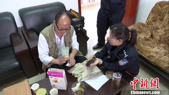 图为动物专家给豹猫宝宝冲泡奶粉。 金平县自然资源公安局供图 摄