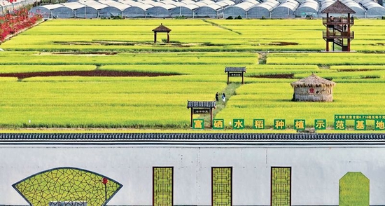 江西省赣州市于都县着力打造数字农业，推进富硒水稻生产设施化、机械化、绿色化，实现粮食提质增产和优粮优价。图为梓山镇潭头村的“富硒小镇”（2022年10月21日摄）。 视觉中国供图
