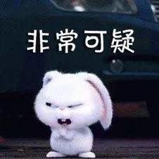 情侣楼下吵架室友拍视频爆笑解说 网友:太专业了