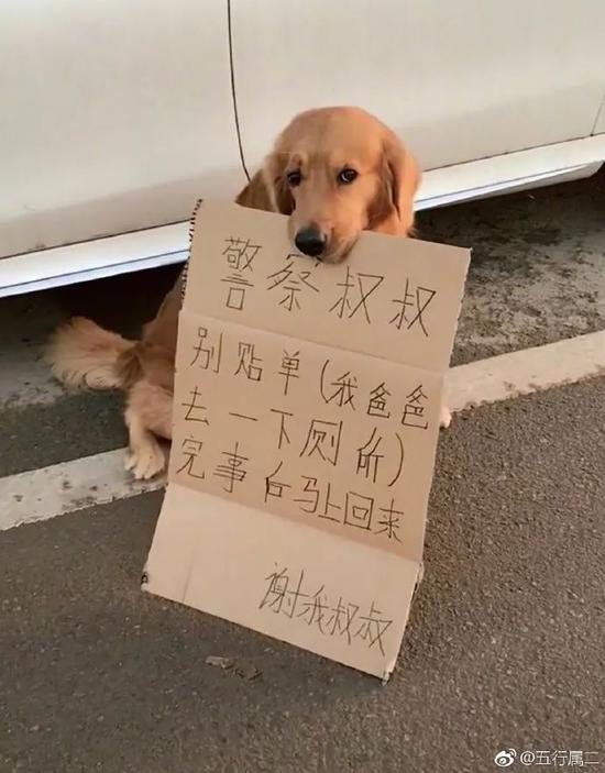 2018最喜感照片 看到第一张领导说要开除我(图)