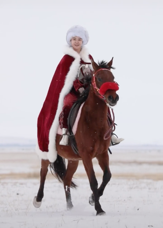 昭苏县位于新疆伊犁州西南部,是国务院确定的对外开放县之一,居住着汉