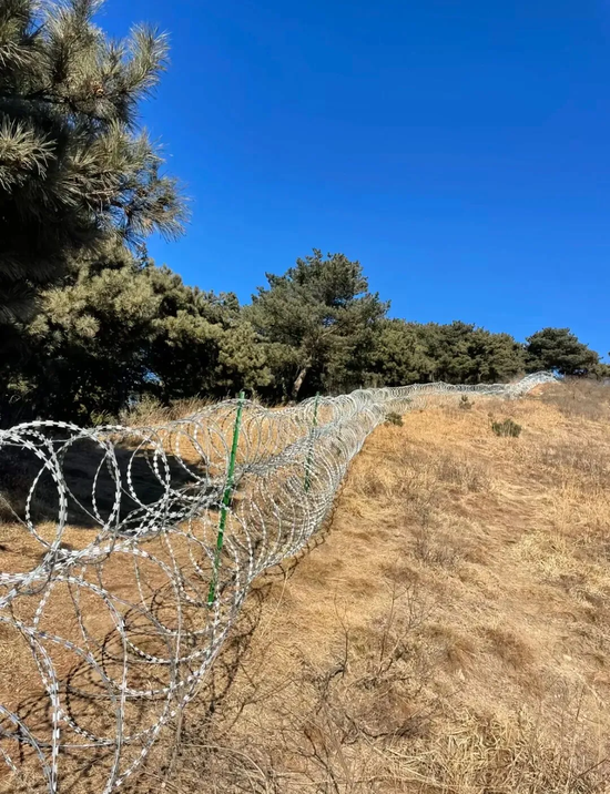 泰安：将泰山景区现有刀片式隔离网拆除或替代