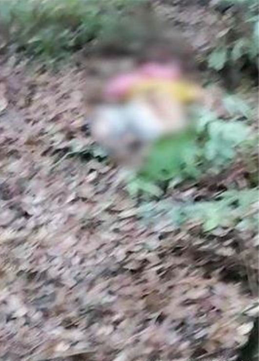 警方通报长沙8岁女孩遇害案24岁嫌疑人已被抓获