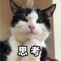 「万福借包子救人？这剧最大的骗局，是把王阳塞进片头充门面」