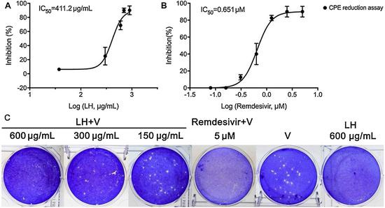 研究人员使用cpe和空斑减数实验,在vero e6细胞中评估了连花清瘟对