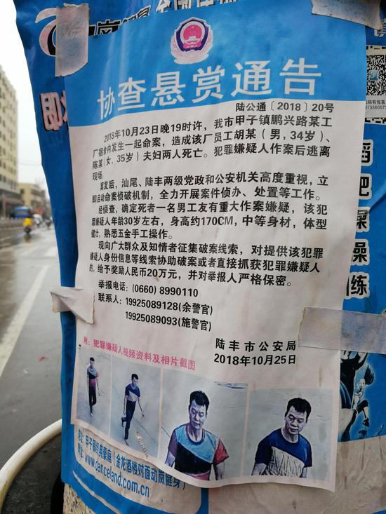广东省陆丰市甲子镇，贴在马路边电线杆上的协查悬赏通告。澎湃新闻记者 朱远祥 摄