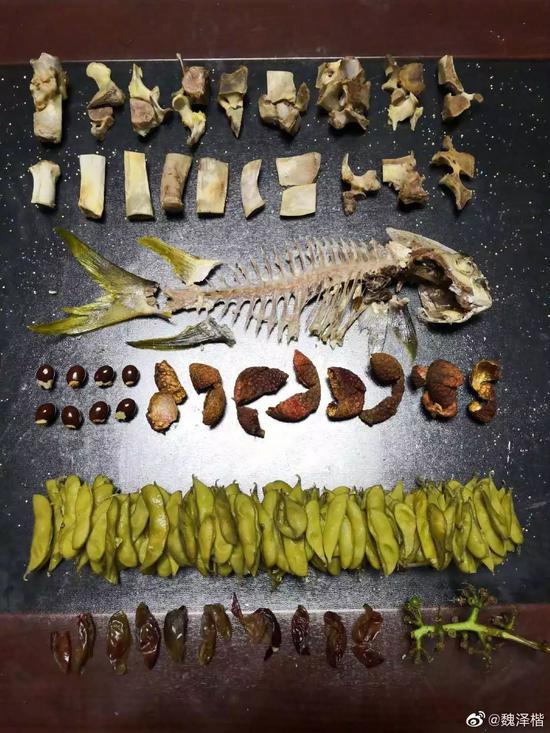 上海步入生活垃圾强制分类时代有人创作了一首歌