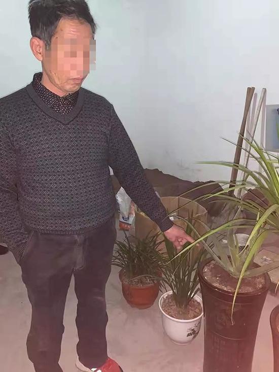  民警在朱某家中共找到7盆失窃的盆栽