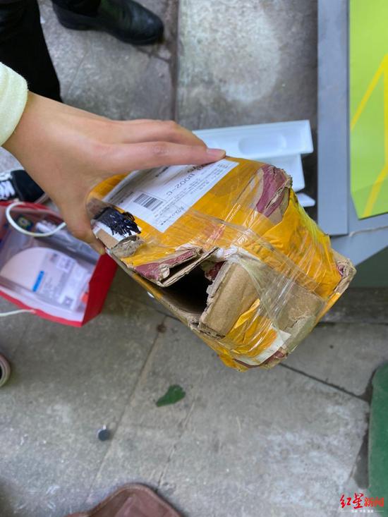 湖北一地下非法野生动物经销点被捣毁