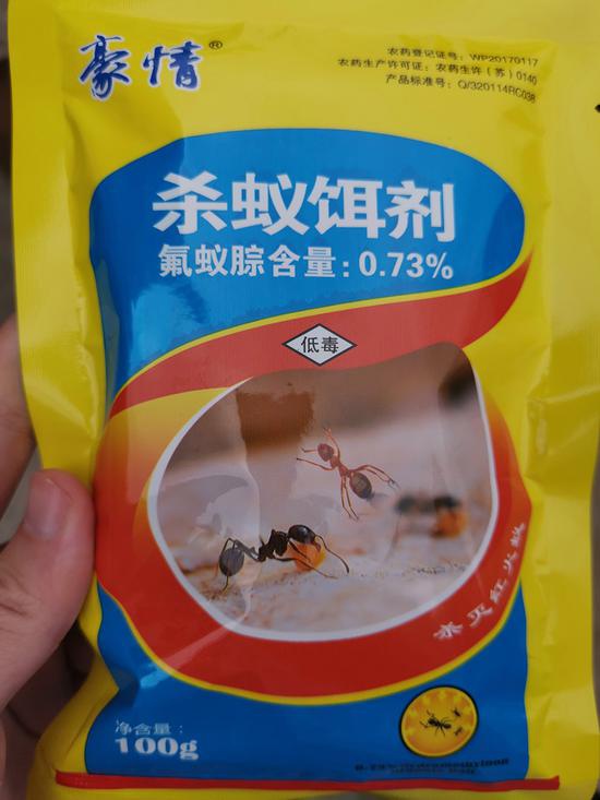 红火蚁首现地蚁巢遍布 土地撂荒 村民怕被咬不敢下地 新浪新闻 红火蚁首现地蚁巢遍布 土地撂荒 村民怕被咬不敢下地 新浪新闻