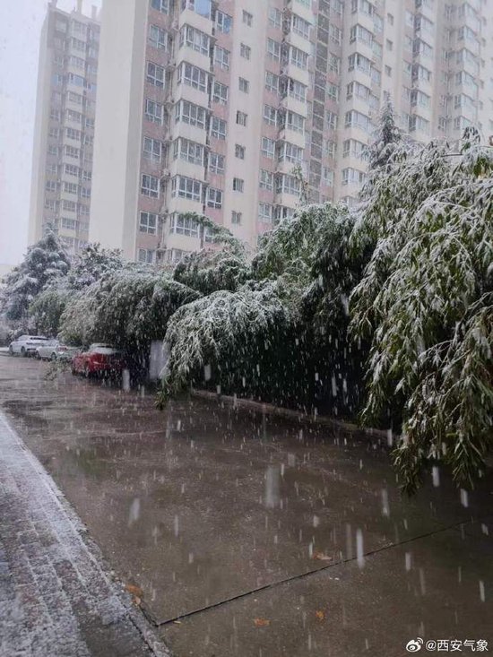 小说：三王妃落水后性情大变，从软弱到彪悍，三王爷反追着贴上去