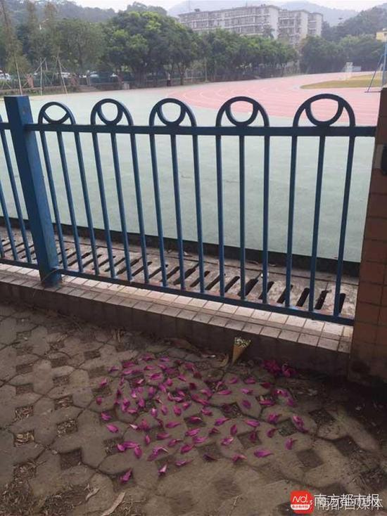 割喉凶案:广外女大校内锻炼被割喉 凶手一审被判死刑 有学生在女生出事地点用紫荆花瓣拼成心形祭奠。