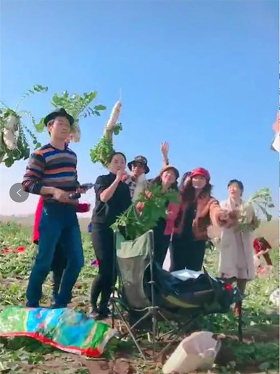 现代中国里的魔幻闹剧 农民百亩萝卜遭哄抢原委