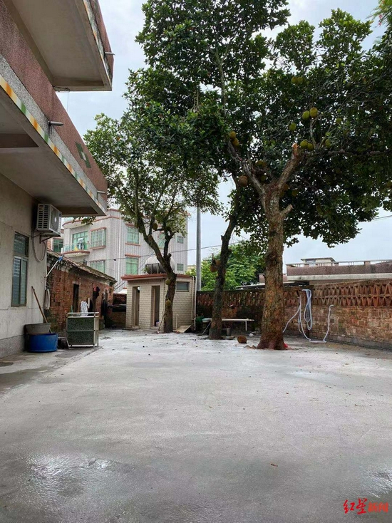 全红婵家地板刚硬化的院落 记者韦星 摄