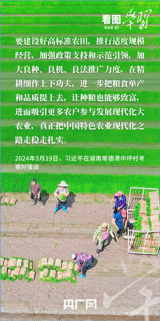 看图学习丨“三夏”时节丰收忙 总书记强调粮食生产年年要抓紧