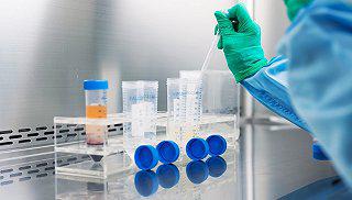 陈小平团队回应疟原虫治癌项目被叫停:仍正常进行