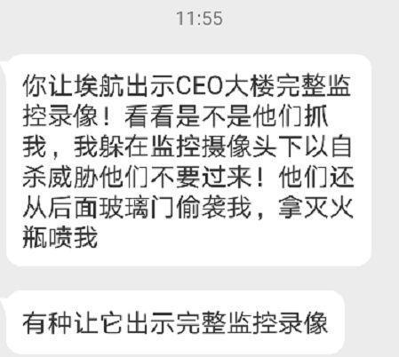 中国空姐:中国空姐手撕埃航:称遭领导性骚扰 还被抓进狱