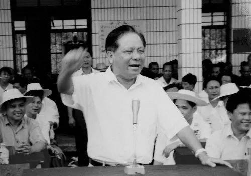  陈苏厚动员村民发展经济作物