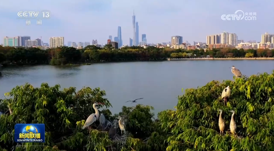 【新思想引领新征程·非凡“十四五”】建设公园城市 绘就宜居城市新画卷