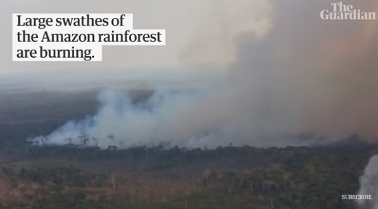  （大面积热带雨林正在燃烧。图源：《卫报》视频截图）
